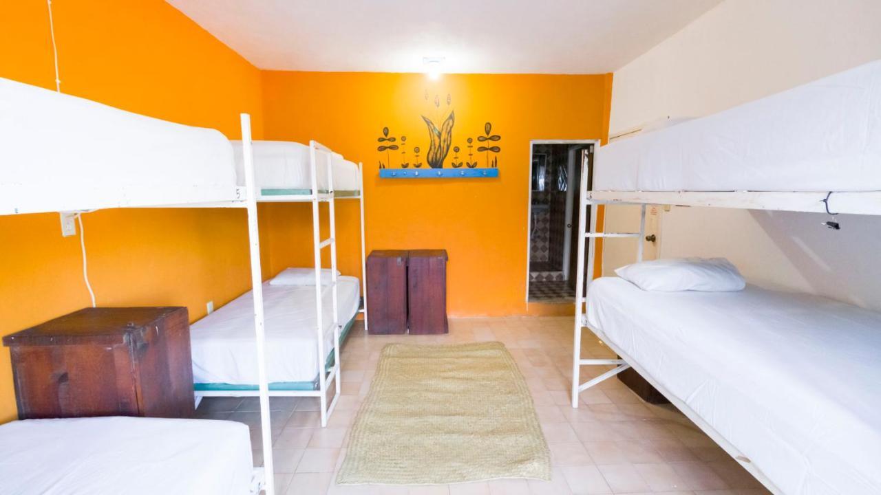 Weary Traveler Hostel Tulum Szoba fotó